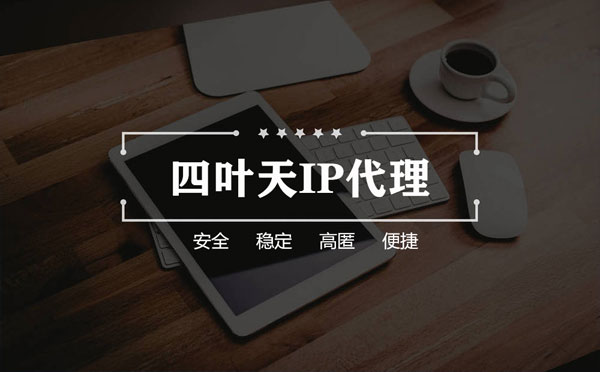 【咸阳代理IP】如何快速搭建代理IP？怎么检查代理的效果？