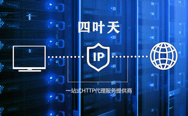 【咸阳代理IP】代理IP的主要用途和使用注意事项